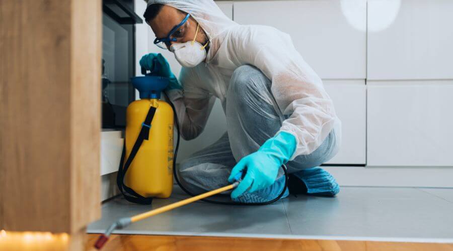 Professional emergency exterminator austin services in Austin